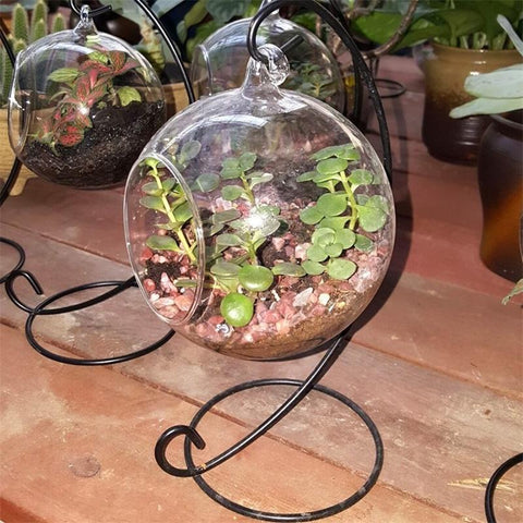 Tank Hanging Flower Vase