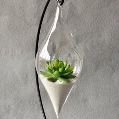 Terrarium Hydroponic Glass Vase