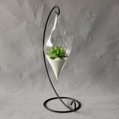 Terrarium Hydroponic Glass Vase