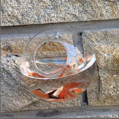 Wall Hanging Glass Flower Vase