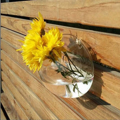 Wall Hanging Glass Flower Vase
