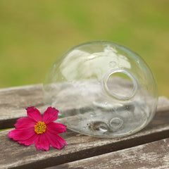 Wall Hanging Glass Flower Vase
