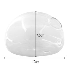 Wall Hanging Glass Flower Vase