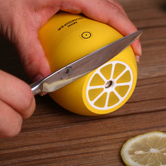 USB Air Purifier with LED Lamp