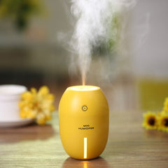 USB Air Purifier with LED Lamp