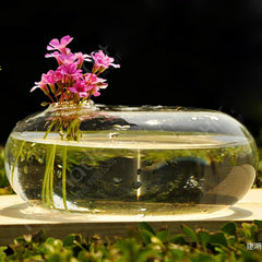 Terrarium Glass Vase
