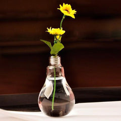 Transparent Light Bulb Glass Vase