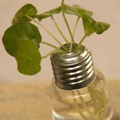 Transparent Light Bulb Glass Vase