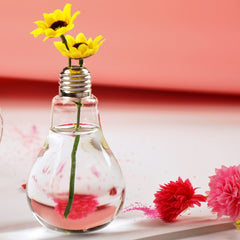 Transparent Light Bulb Glass Vase