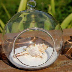 Terrarium Glass Vase