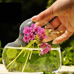 Terrarium Glass Vase