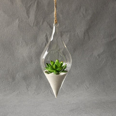 Terrarium Hydroponic Glass Vase